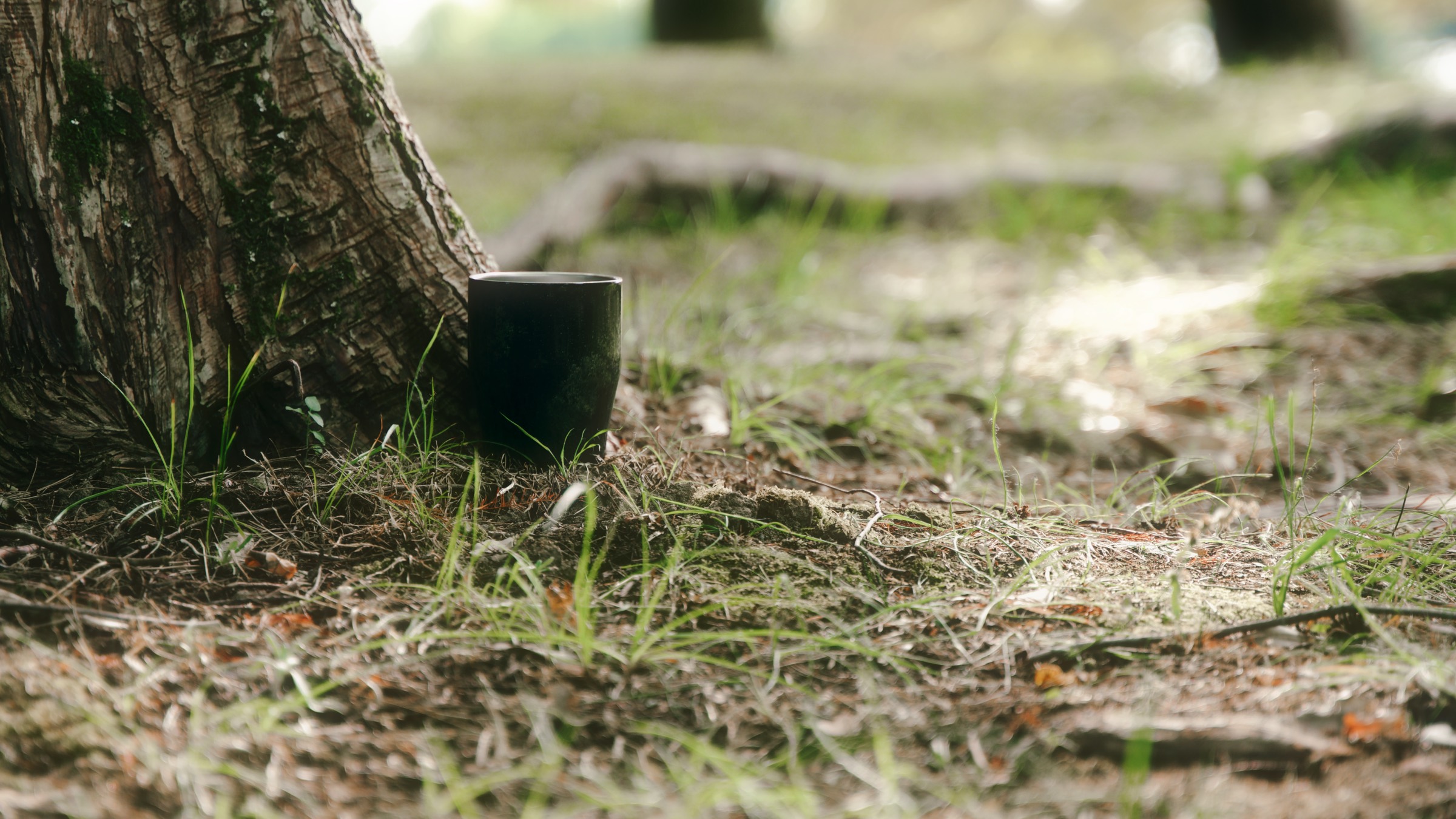 木の根元に置かれた黒の越前漆器のタンブラー